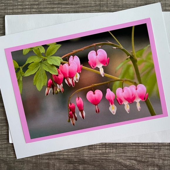 Six 5x7 Garden Photo Greeting Cards - Picture 2 of 7